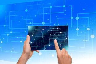 星空体育app官方网站-NBA联盟品牌资产价值提升路径研究，nba联盟logo设计理念分析