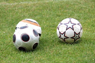 星空体育首页登录-未来足球市场：数字资产与足球产业的融合，足球概念数字货币