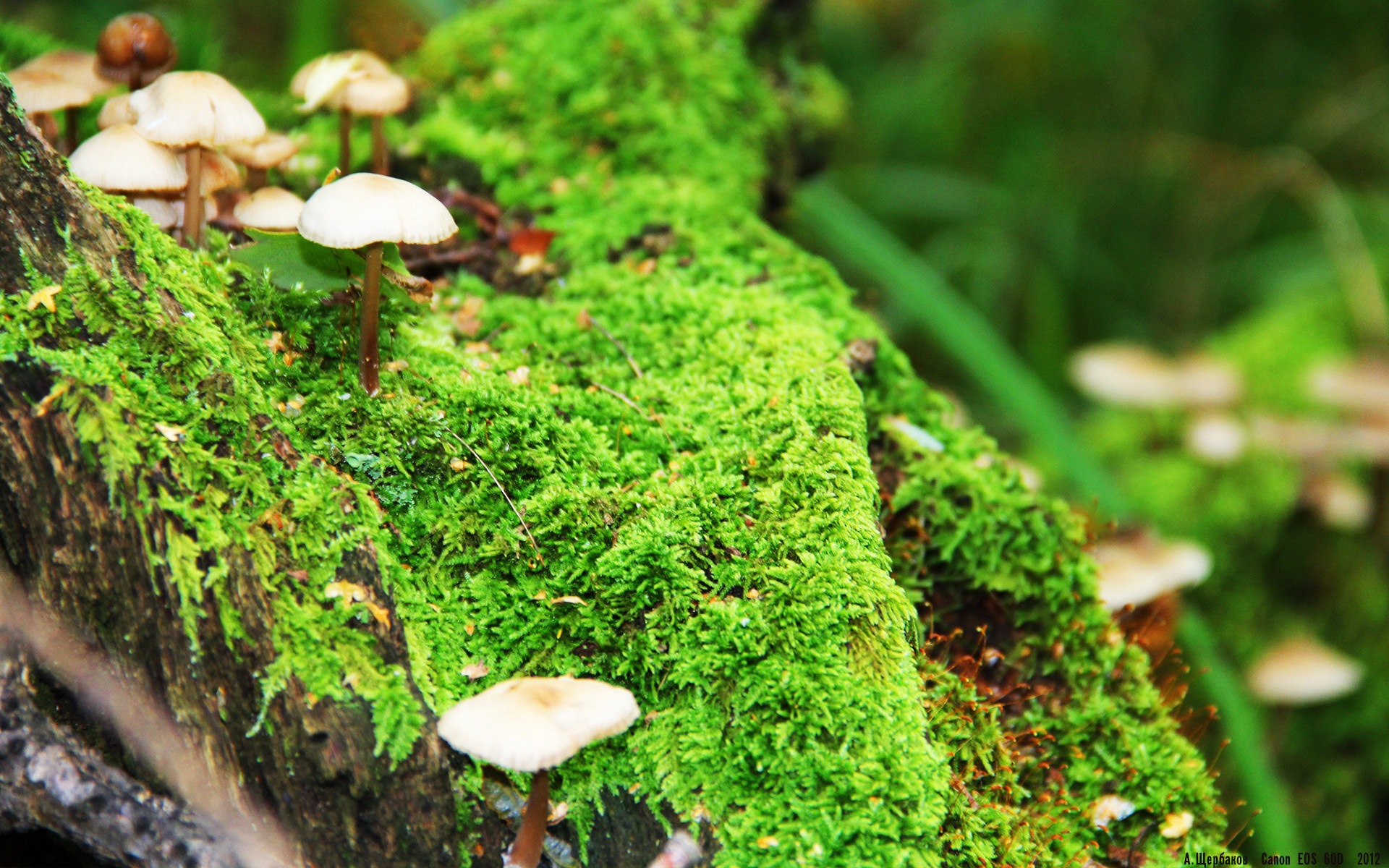 星空体育娱乐-运动损伤康复设备国产化路径研究,运动康复器材 医疗器械