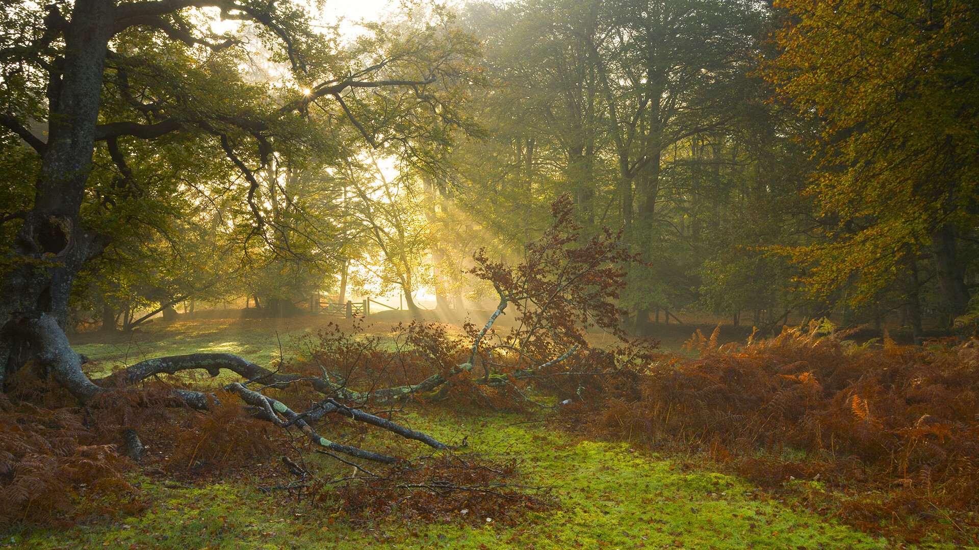 星空体育app-国际乒联混合团体世界杯:罗马尼亚队突破自我,表现惊艳,罗马尼亚 世界杯