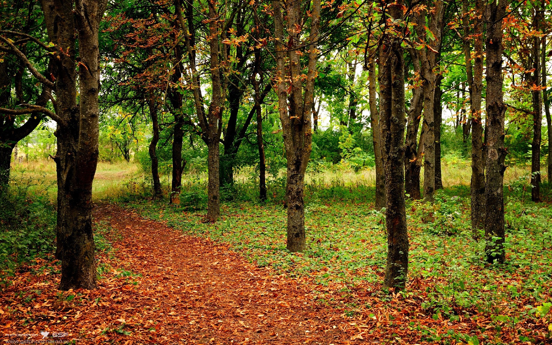 星空体育平台-职业球员训练数据缺少公开透明化展示，职业球员训练计划
