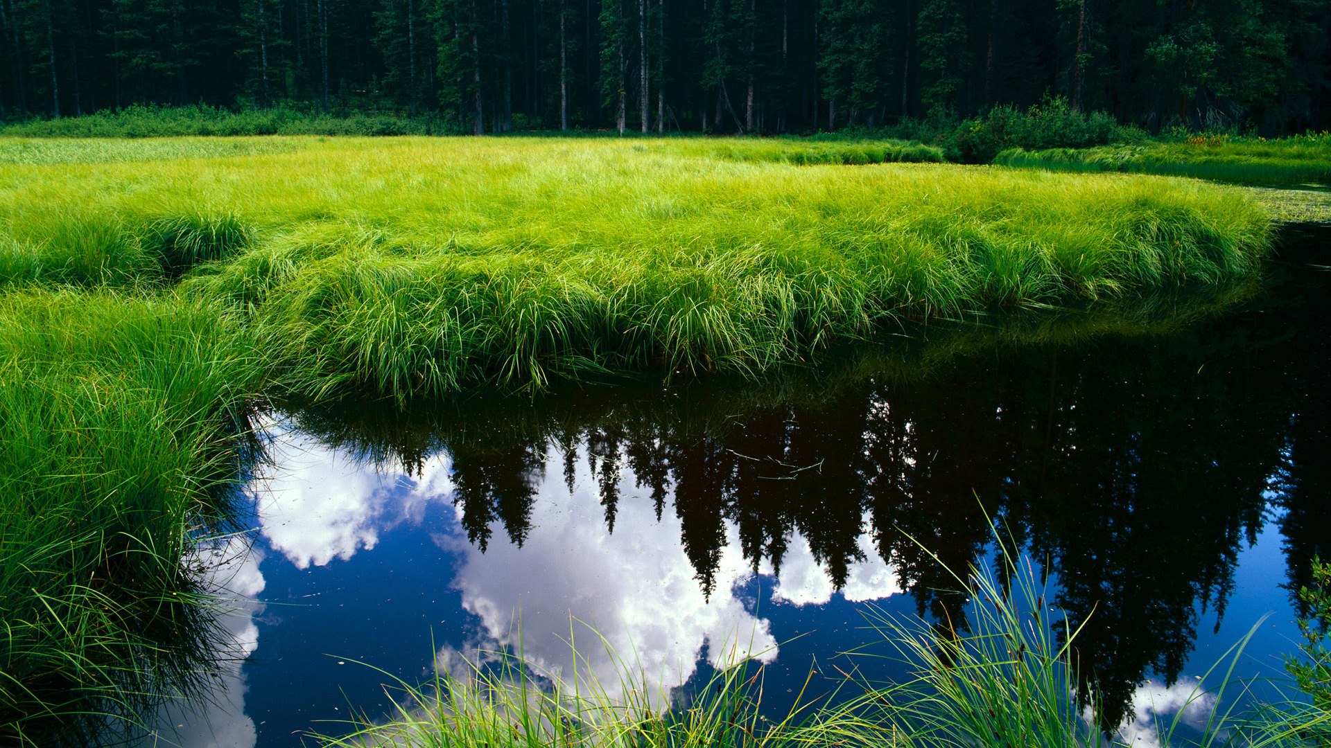 星空官网-英格兰男队青训项目引发全球投资热潮，英格兰 青训